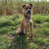 Sonnenschein Beru sucht sein Happy End