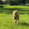 Sonnenschein Beru sucht sein Happy End