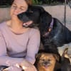 Jordan: kinderlieber English-Setter-Mix