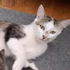 Prinzessin Mia in Wiesbaden