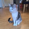 Prinzessin Mia in Wiesbaden