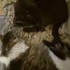 CASPI & SUGGI suchen ein Zuhause