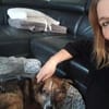 Sophie sucht ihr Glück