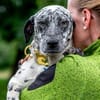 Sully, alltagstauglicher Sonnenschein, c