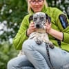 Sully, alltagstauglicher Sonnenschein, c