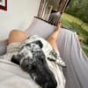 Sully, alltagstauglicher Sonnenschein, c
