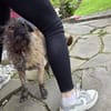 Rani such ein Zuhause