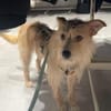 Celina sucht eine aktive Familie