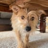 Celina sucht eine aktive Familie