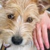 Celina sucht eine aktive Familie