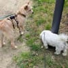 Celina sucht eine aktive Familie