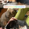 Zuhause gesucht für Nuri&Xena
