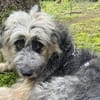 Wilson sucht HSH-Fans
