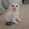 Lily Rose, la douce