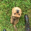 kleine Entdeckerin mit großem Herzen