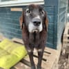 THEO - wo bleibt sein Happy End?