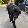 THEO - wo bleibt sein Happy End?