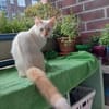 Ernie braucht Menschen mit Geduld