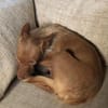 Maite unsere kleine Mutter Courage