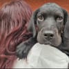 Mowgli (En cours d'adoption)