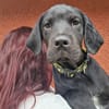 Baloo "En cours d'adoption"