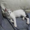 LOUNA