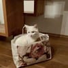 Geschwister Frieda und Mona