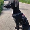 🌸 Leni 🌸 sucht ihr Zuhause