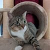 Nils sucht ein liebevolles Zuhause