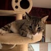 Nils sucht ein liebevolles Zuhause