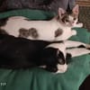 Charlie & Lukas suchen zusammen