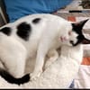 Belinda sucht in Wohnungshaltung