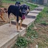 Olivia, nur weil ich schwarz bin???