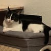 Sohn Edgar und Mama Wilma