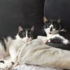 Mama WIlma und Sohn Edgar