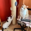 Julius und Oscar suchen zusammen
