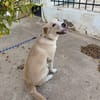 DUKE (Martina)