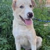 DUKE (Martina)