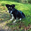 Knuffiger Wirbelwind Mika 5 Monate