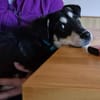 Knuffiger Wirbelwind Mika 5 Monate
