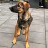 Süsse Maila 5 Monate sucht Familie