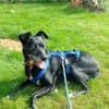 Bella8 sucht ein Zuhause