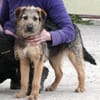 Otty ist aktiv, pfiffig und super!
