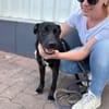 Beni, Zartes Sensibelchen, 5M 81679