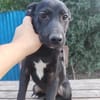 Beni, Zartes Sensibelchen, 5M 81679