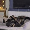 Olek rennt - und chillt hinterher gerne
