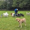 Olek rennt - und chillt hinterher gerne