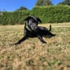 RONY besondere Adoption!