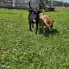 RONY besondere Adoption!