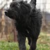 FREYA - in 46514 Schermbeck